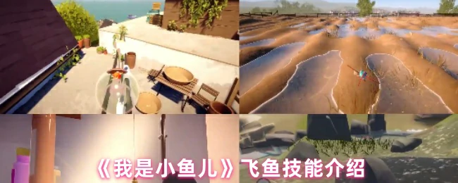 小鱼儿飞鱼技能大揭秘：轻松掌握水下飞行技巧