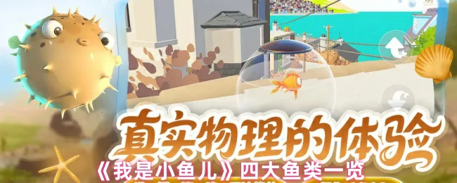 四大鱼类全解析：小鱼儿带你认识水中精灵