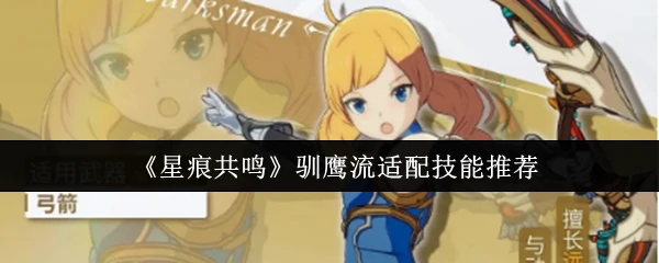 星痕共鸣驯鹰流最强技能搭配 实战必学攻略