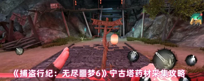 宁古塔药材采集全攻略