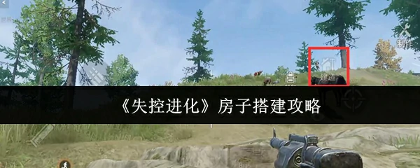 失控进化：手把手教你打造完美庇护所