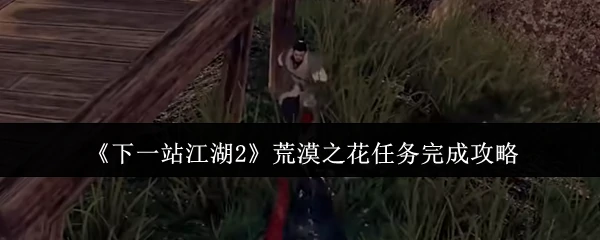 江湖2荒漠之花任务速通指南：轻松拿奖励