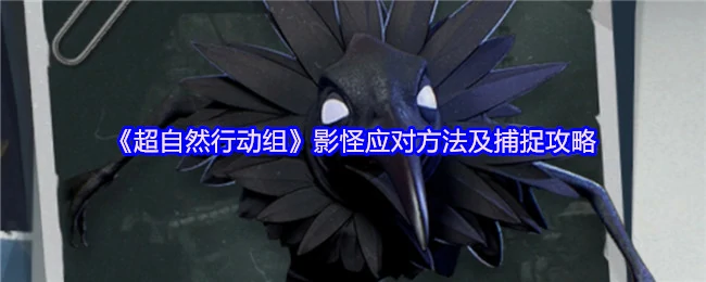 超自然行动组：影怪高效捕捉实战指南