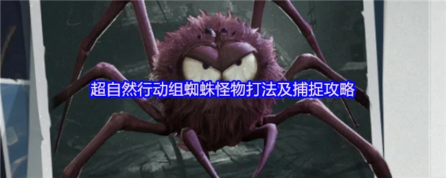超自然行动组：蜘蛛怪高效击杀与捕捉技巧
