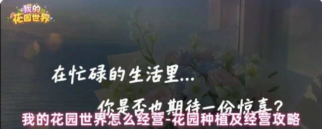 打造梦幻花园：从种植到经营的终极攻略