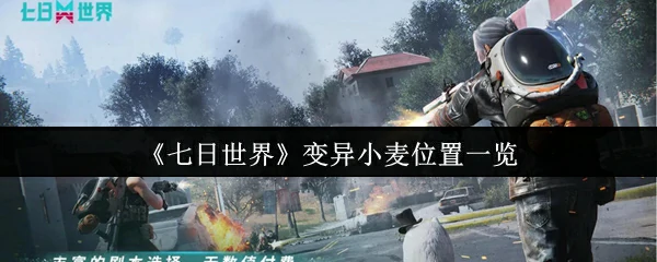 变异小麦全地图速刷点 七日世界高收益采集路线