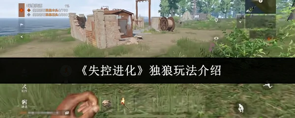 独狼进化指南：单刷副本最强生存法则