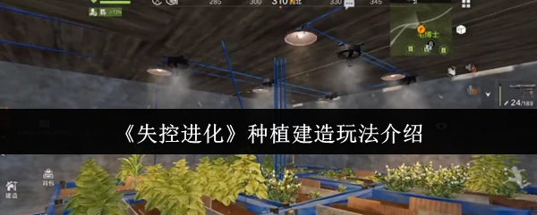生存进化新玩法：亲手打造你的奇幻植物王国