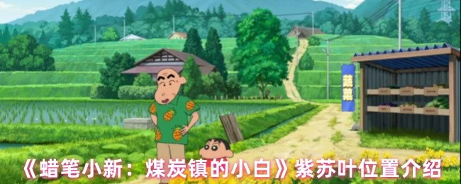 紫苏叶藏在哪？煤炭镇小白美食秘密大公开