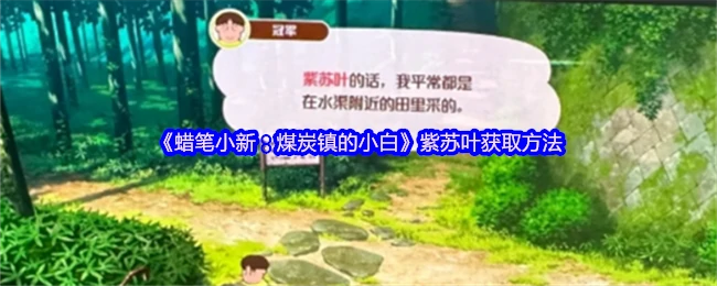蜡笔小新煤炭镇小白攻略：轻松收集紫苏叶秘诀