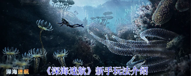 深海迷航新手必看：3分钟掌握生存技巧，轻松征服海底世界