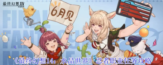 最终幻想14忍者职业全任务攻略：从入门到精通