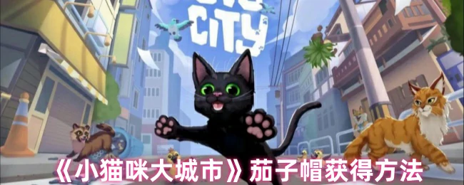 小猫咪茄子帽获取攻略 轻松解锁萌趣装扮