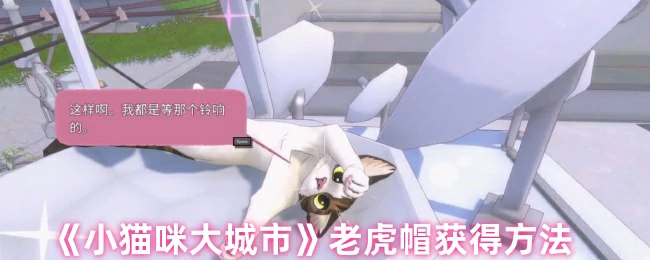 小猫咪如何拿到超萌老虎帽 城市探索必备攻略