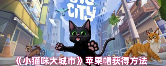 苹果帽获取攻略：小猫咪必备时尚单品