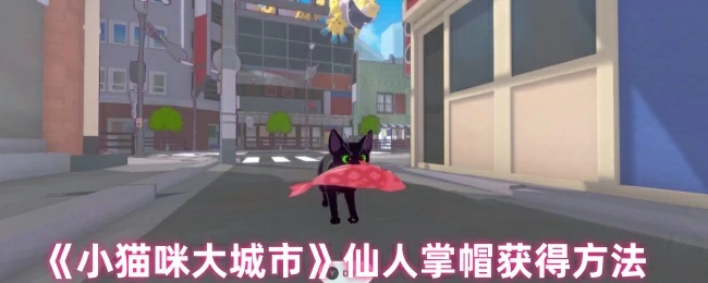 小猫咪必拿仙人掌帽技巧 轻松解锁隐藏装扮