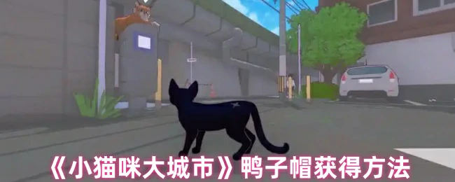 小猫咪大城市鸭子帽获取攻略