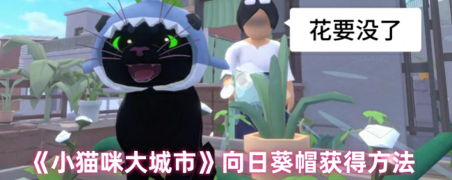 小猫咪向日葵帽获取攻略 轻松解锁可爱装扮