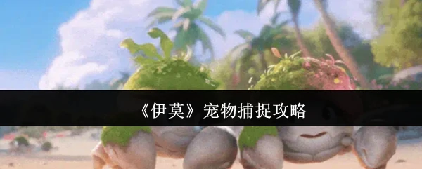 伊莫宠物捕捉全技巧，新手也能轻松上手