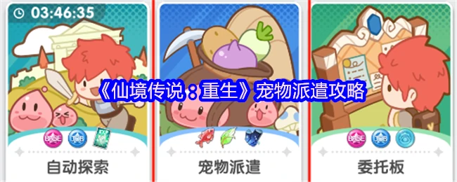 仙境传说重生宠物派遣终极指南