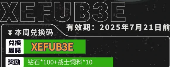 小鸡舰队出击2025最新兑换码限时领取