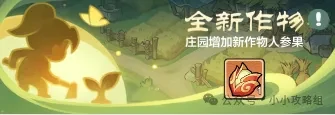 小小英雄武道破境活动,小小英雄武道破境攻略