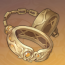 狮牙斗士的理想.png
