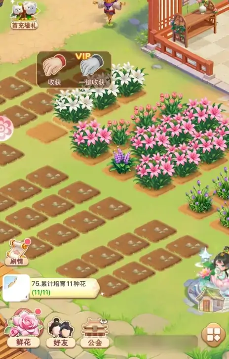 我的花园世界种花攻略,我的花园世界怎么种花