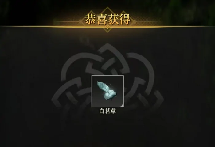 地下城堡4白茗草在哪,地下城堡4白茗草位置详解