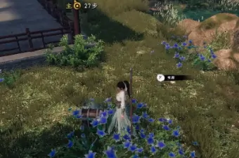下一站江湖2逃婚千金攻略,下一站江湖2手游逃婚千金流程一览