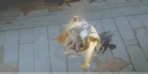 三国志幻想大陆2枭之歌袁绍介绍,三国志幻想大陆2枭之歌袁绍怎么样