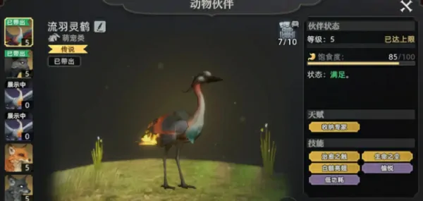 荒原曙光宠物搭配全攻略！这些神宠必练