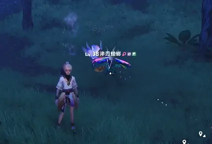 伊莫迷雾森林宠物有哪些,伊莫手游迷雾森林宠物介绍