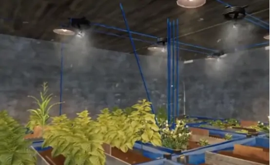 失控进化种植箱深度玩法：高效种植系统全解析