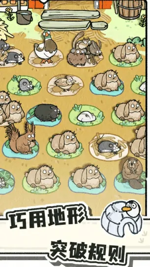 猫神牧场玩法全解析