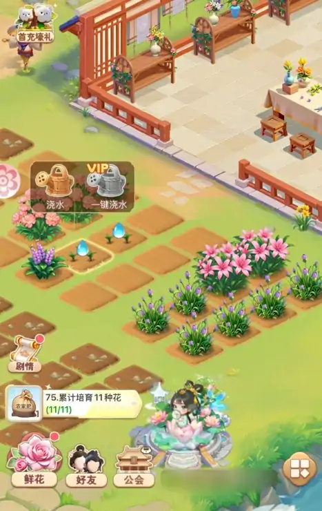我的花园世界种花攻略,我的花园世界怎么种花