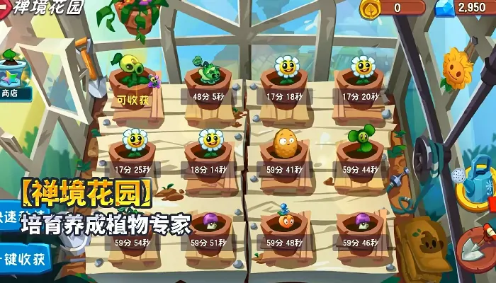 植物大战僵尸3和2哪个好玩,植物大战僵尸3和2玩法对比分析