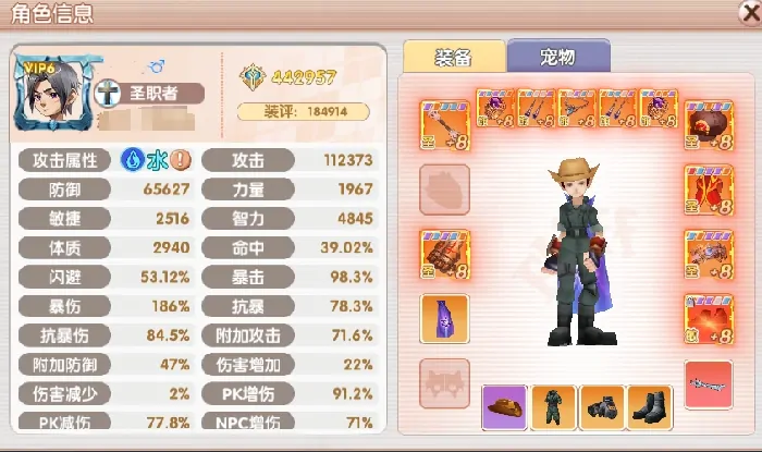 飞飞重逢辅助圣职者怎么玩,飞飞重逢辅助圣职者玩法分享