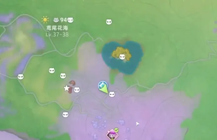 超全攻略！带你了解伊莫鸢尾花海地图