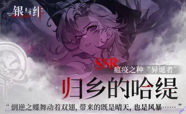 银与绯攻略详解,银与绯玩法攻略指南