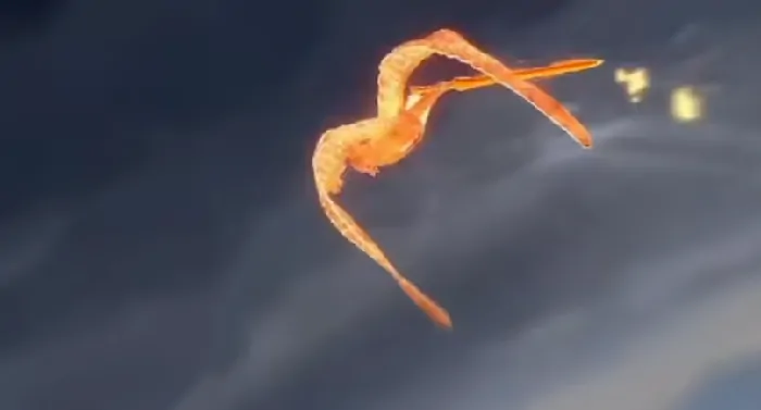 火影忍者手游百战鼬介绍,火影忍者手游百战鼬怎么样,火影忍者