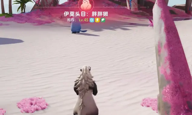 伊莫鲸落浅滩宠物分享,伊莫鲸落浅滩宠物有哪些