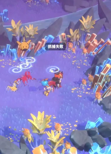曙光重临红宠位置,曙光重临红宠在哪里