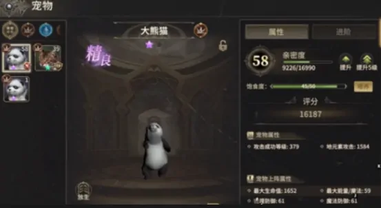 奇迹世界起源战士带什么宠物,奇迹世界起源战士宠物推荐指南