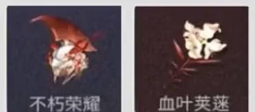 鸣潮露帕升级材料介绍,鸣潮露帕升级材料有哪些,鸣潮