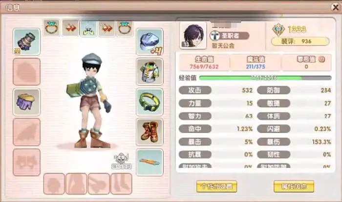 飞飞重逢圣职者介绍,飞飞重逢圣职者怎么加点