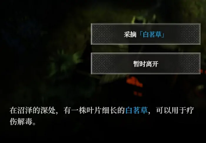地下城堡4白茗草在哪,地下城堡4白茗草位置详解
