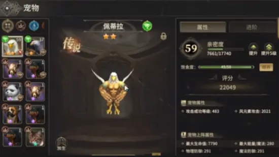 奇迹世界起源战士带什么宠物,奇迹世界起源战士宠物推荐指南