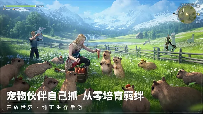 荒原曙光公测时间什么时候,荒原曙光什么时候上线