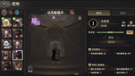 奇迹世界起源战士带什么宠物,奇迹世界起源战士宠物推荐指南